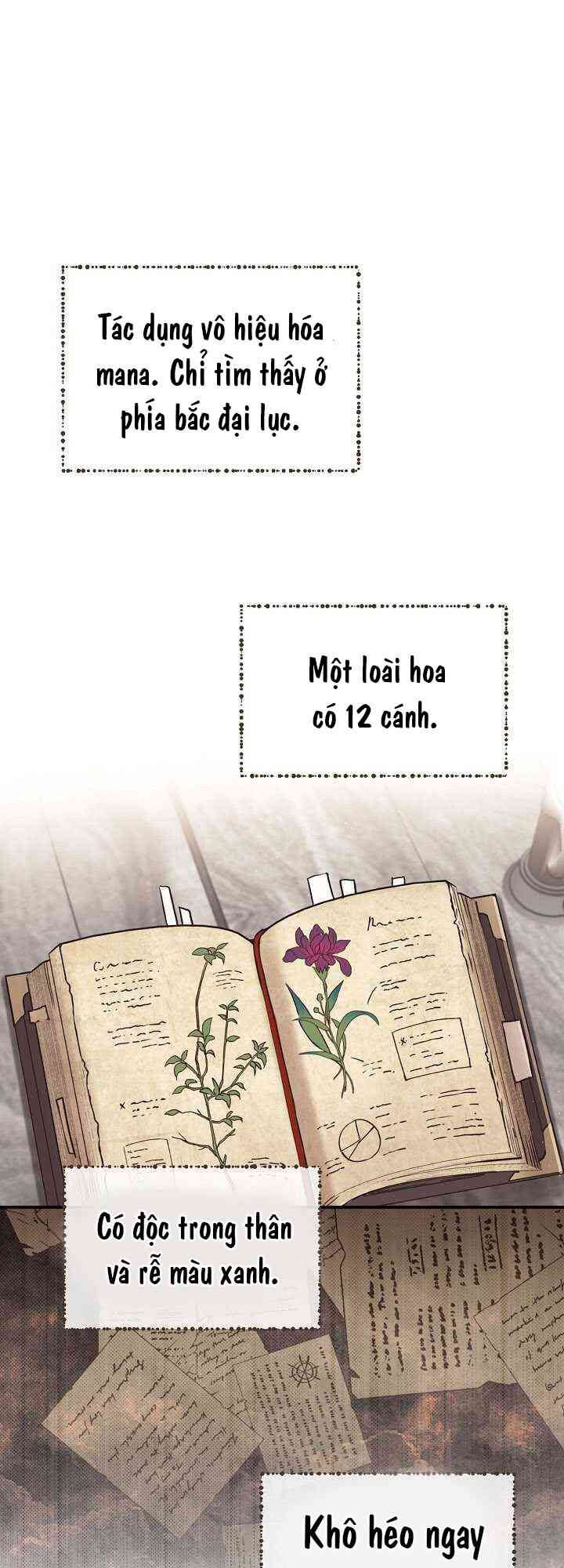 Sự Trở Lại Của Pháp Sư Cấp 8: Chapter 8