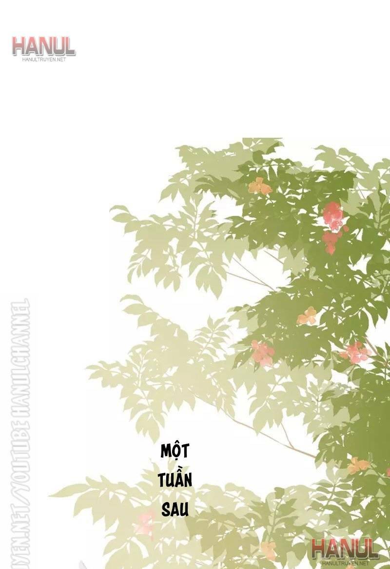 Tiến Độ Chia Tay 99%: Chapter 116
