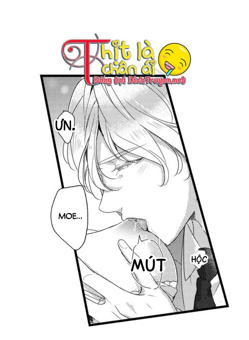 Sai rồi, sếp tây nhà tôi không phải là quý ông đâu!: Chapter 19