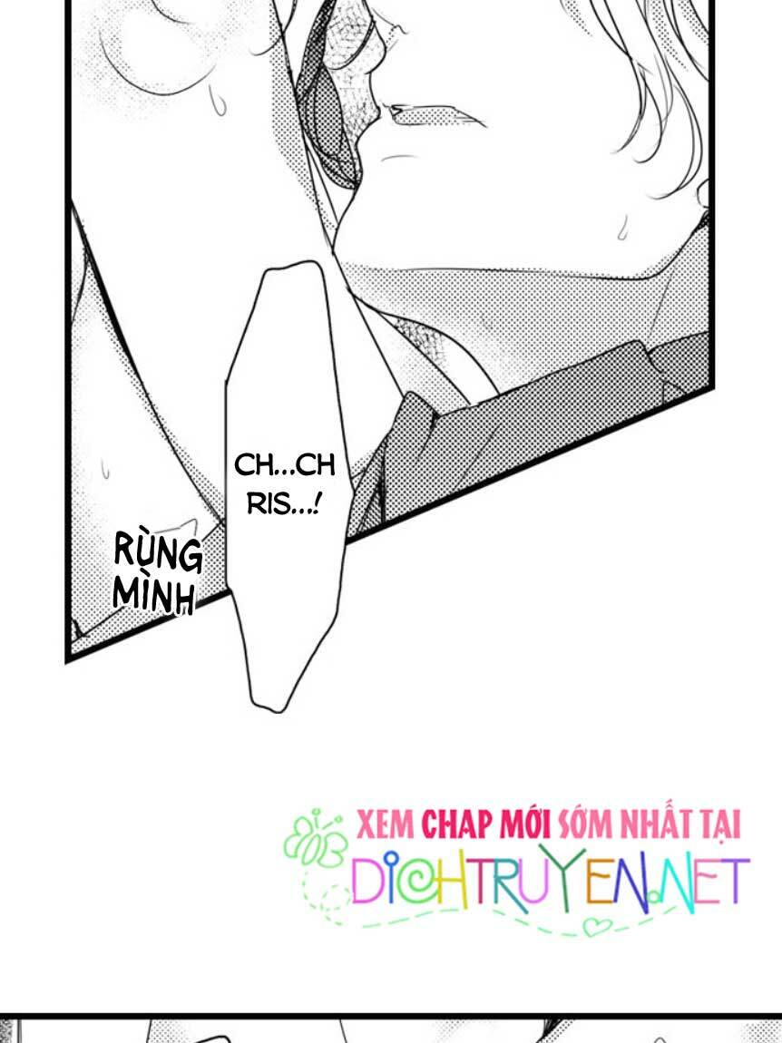 Sai rồi, sếp tây nhà tôi không phải là quý ông đâu!: Chapter 20