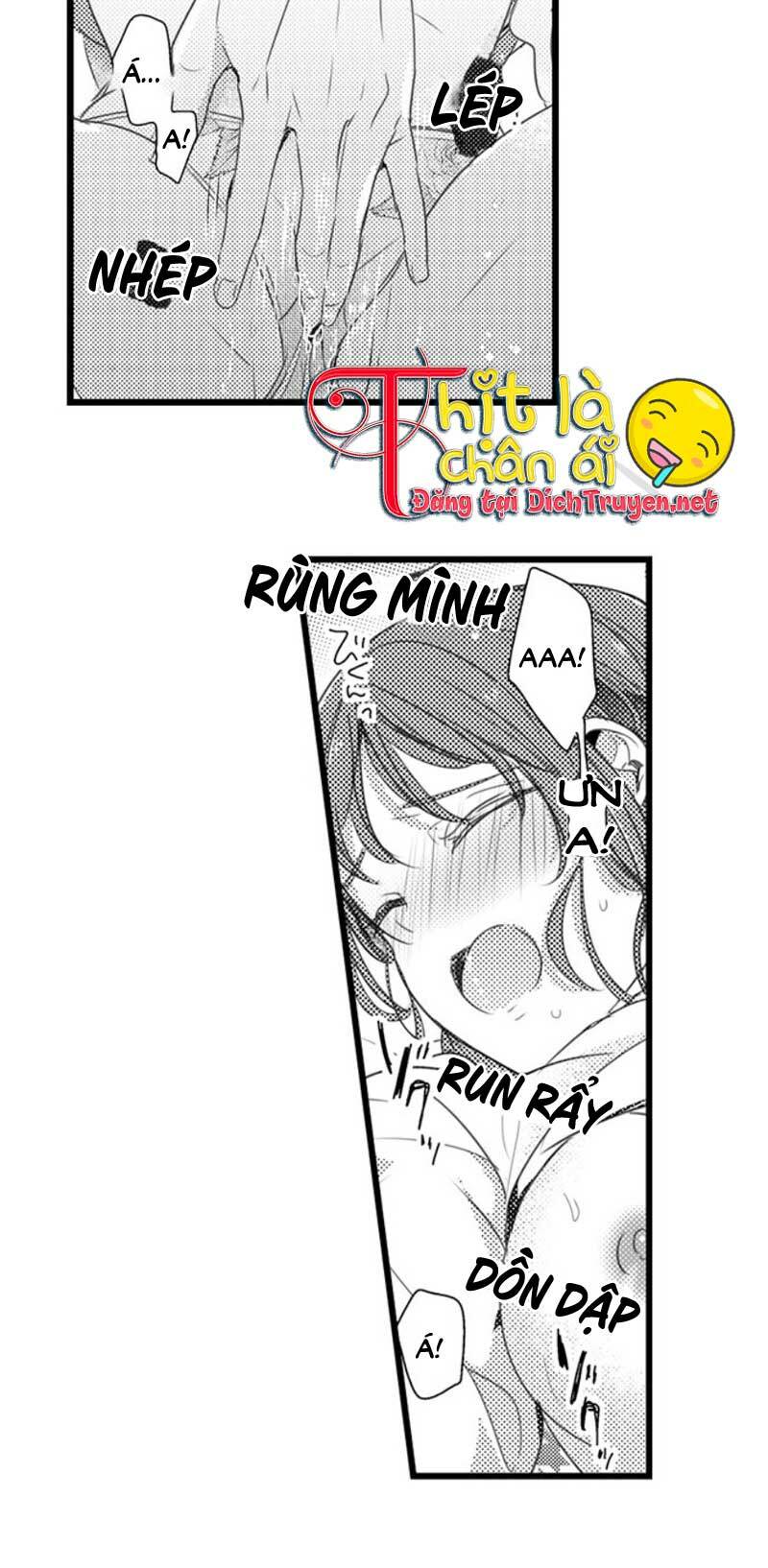 Sai rồi, sếp tây nhà tôi không phải là quý ông đâu!: Chapter 24
