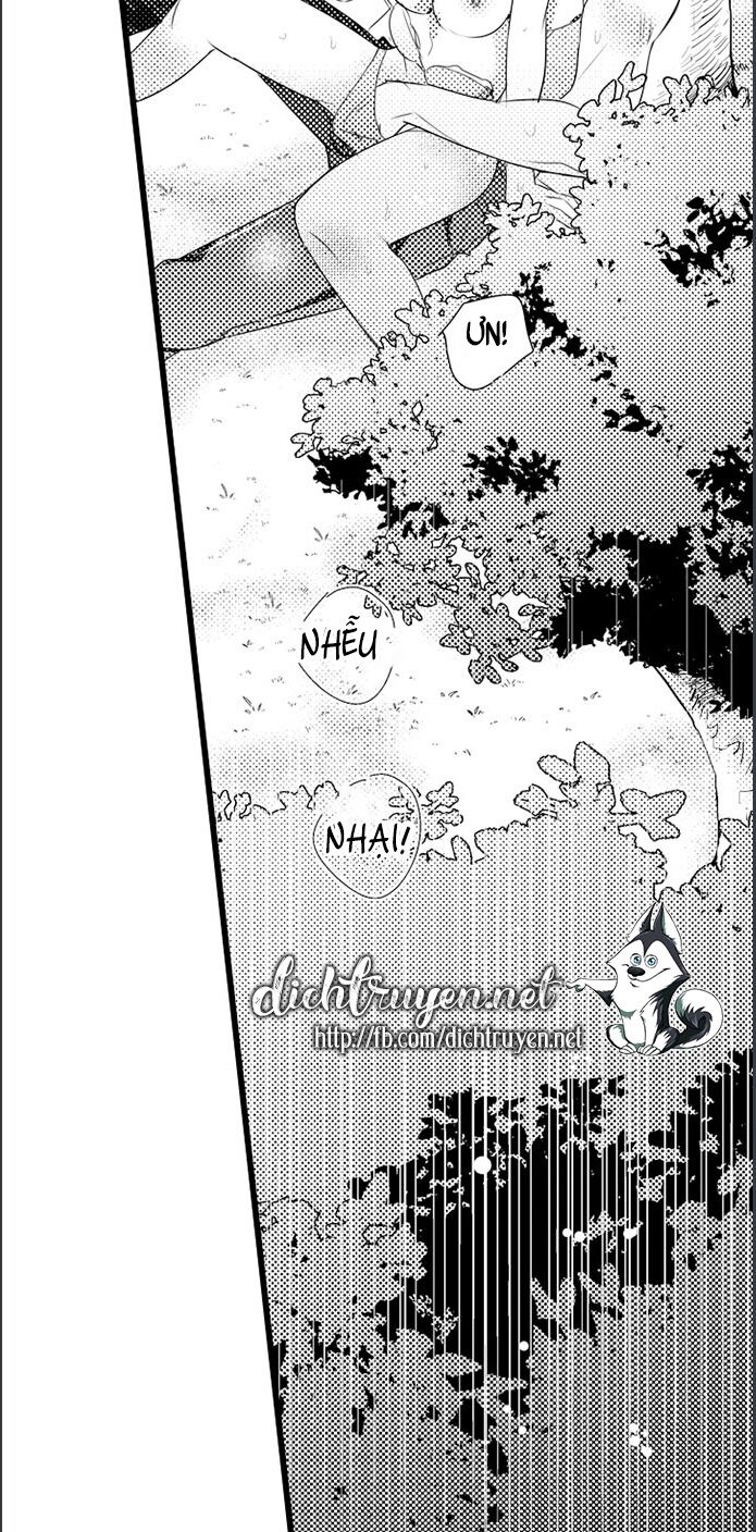 Sai rồi, sếp tây nhà tôi không phải là quý ông đâu!: Chapter 46