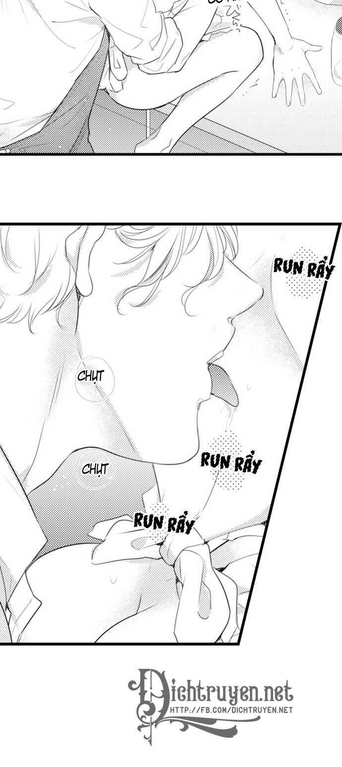 Sai rồi, sếp tây nhà tôi không phải là quý ông đâu!: Chapter 52