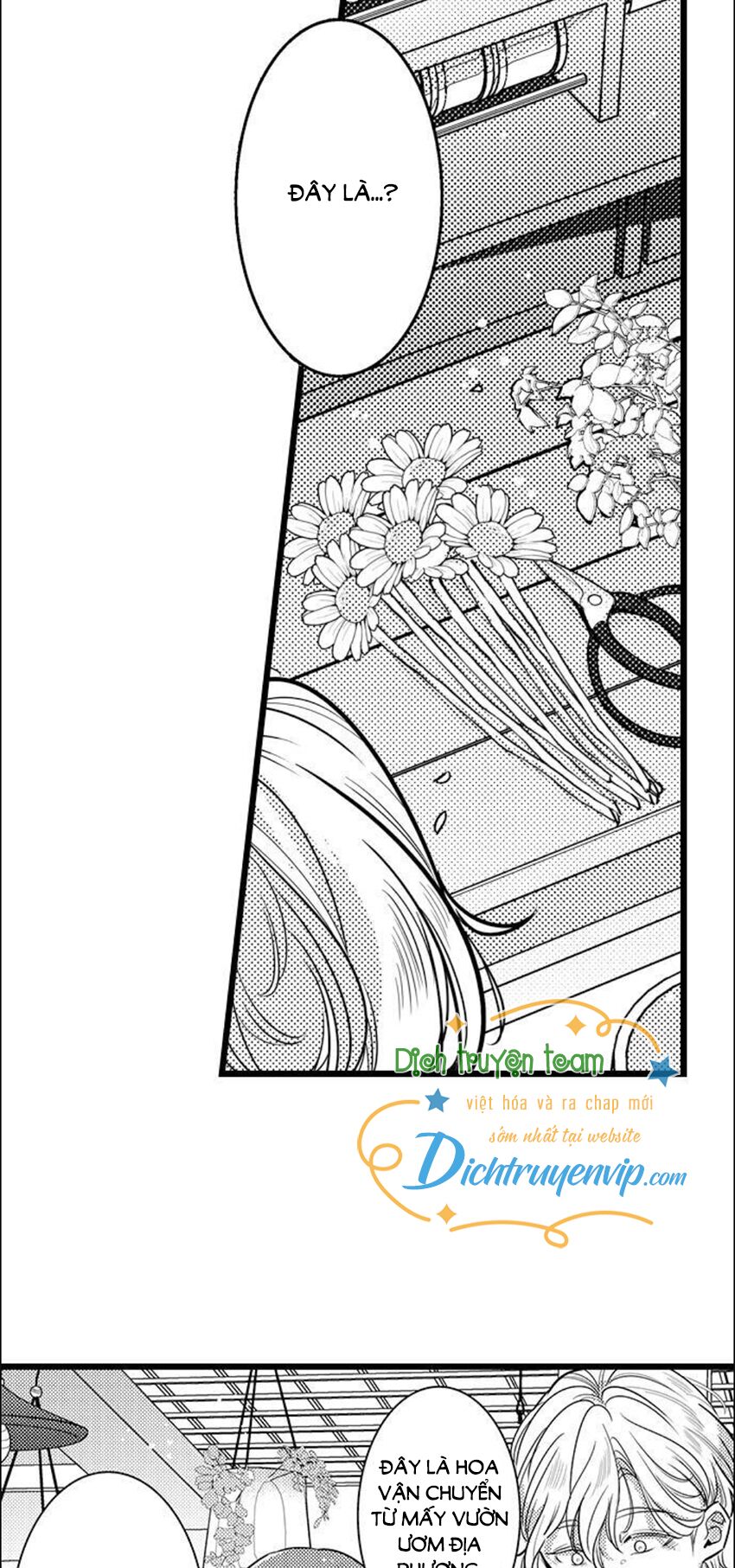 Sai rồi, sếp tây nhà tôi không phải là quý ông đâu!: Chapter 79