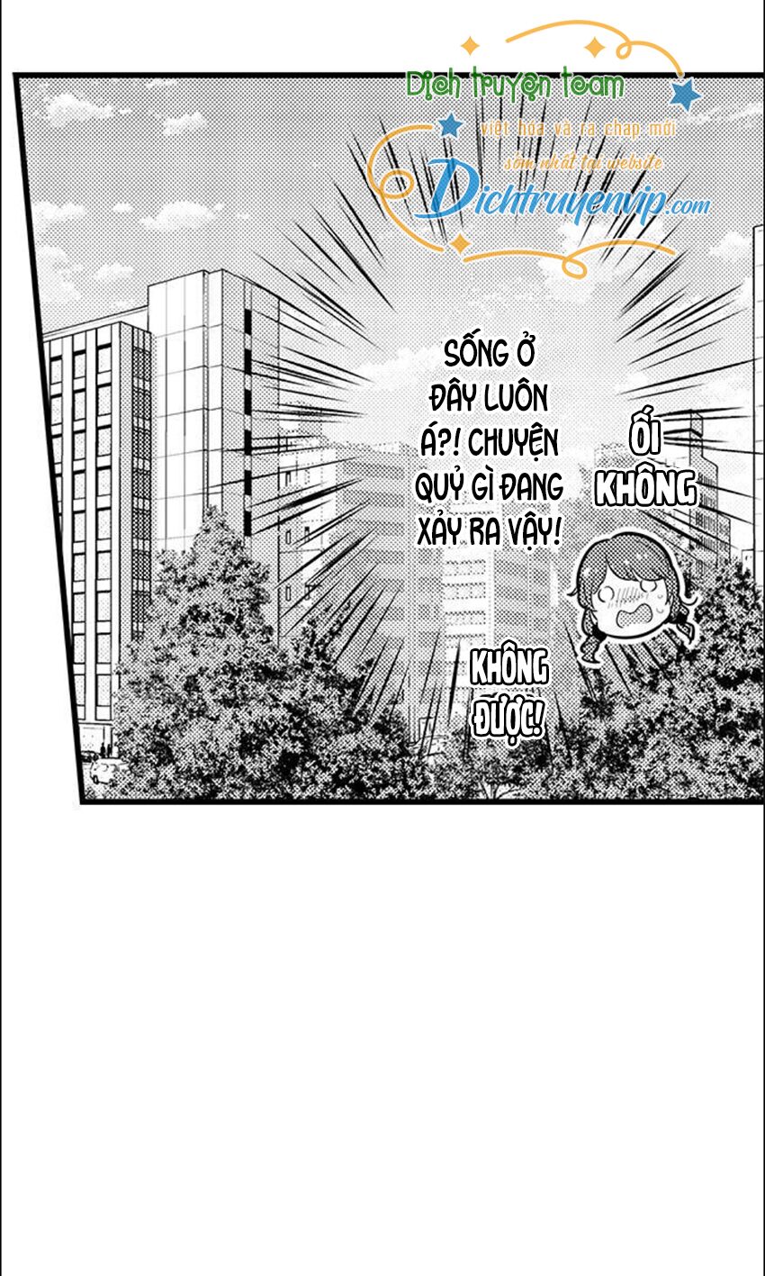 Sai rồi, sếp tây nhà tôi không phải là quý ông đâu!: Chapter 80