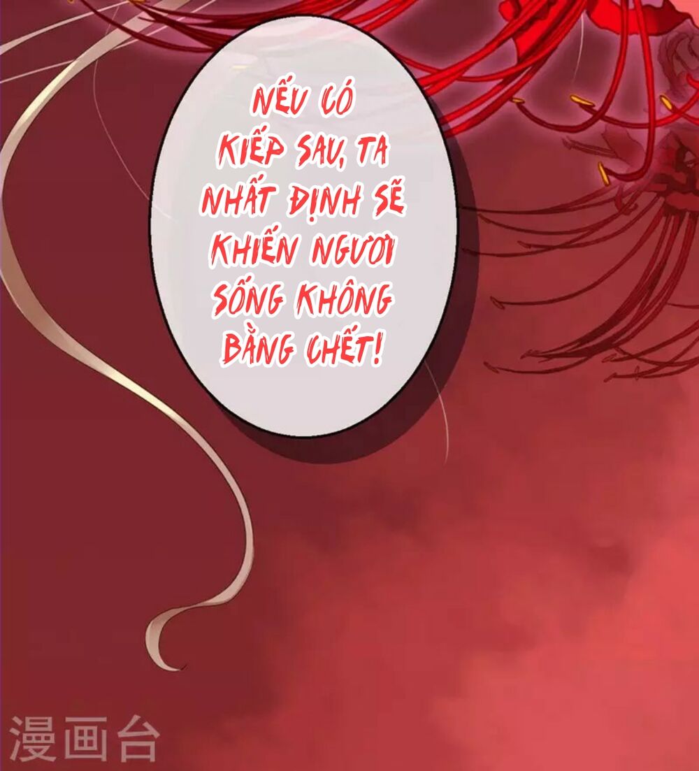 Từng bước âm mưu thâm độc : Huyết hoàng trở về: Chapter 1