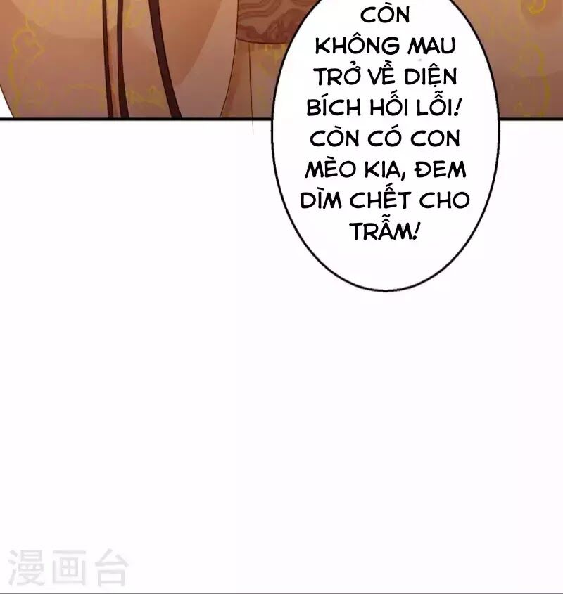 Từng bước âm mưu thâm độc : Huyết hoàng trở về: Chapter 12