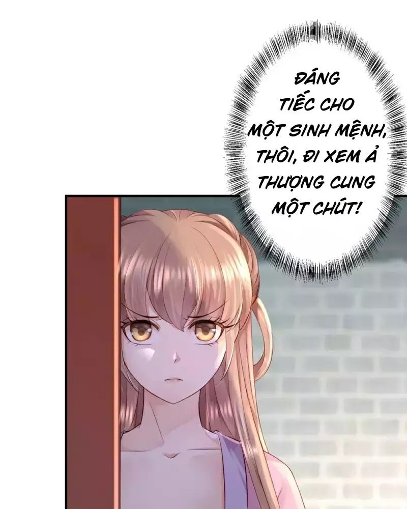 Từng bước âm mưu thâm độc : Huyết hoàng trở về: Chapter 12