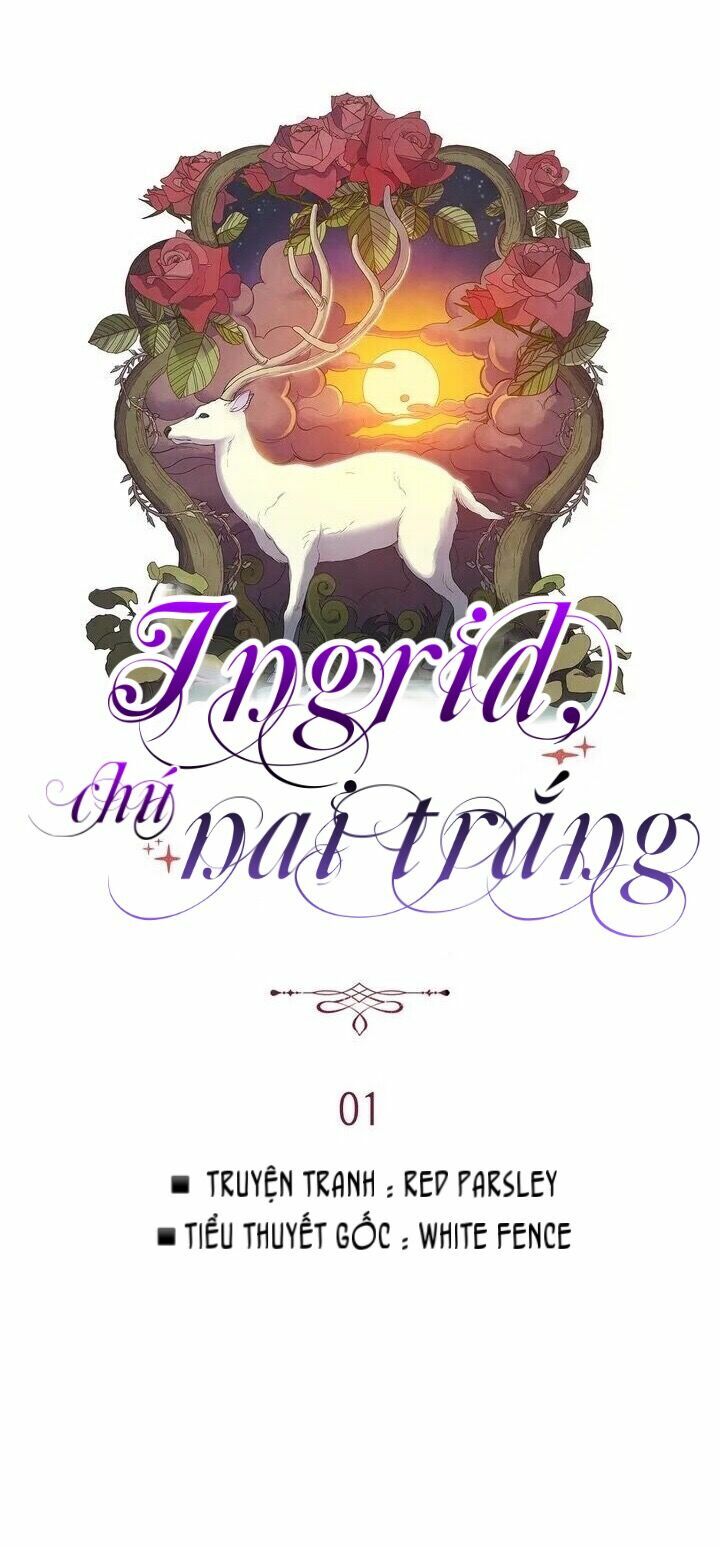 Ingrid, con nai trắng: Chapter 1