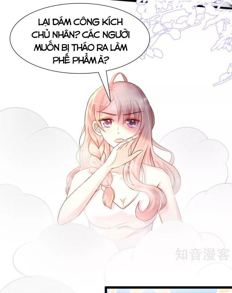 Tối Cường Vận Đào Hoa: Chapter 203