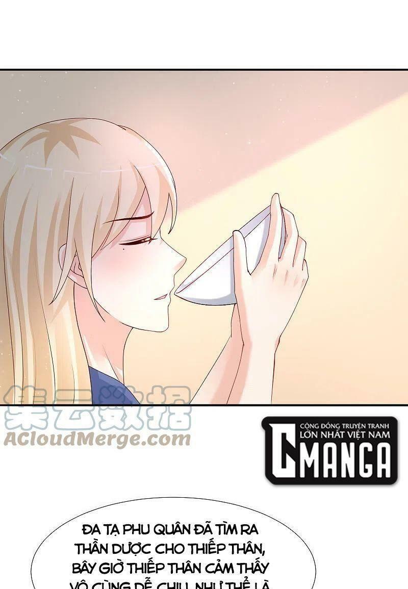 Tối Cường Vận Đào Hoa: Chapter 245