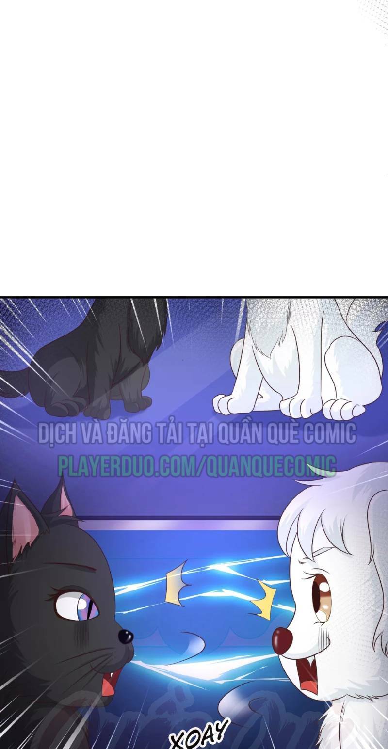Tối Cường Vận Đào Hoa: Chapter 77