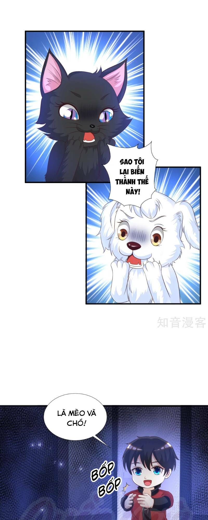 Tối Cường Vận Đào Hoa: Chapter 77