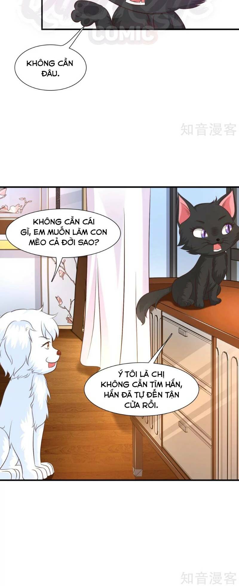 Tối Cường Vận Đào Hoa: Chapter 79