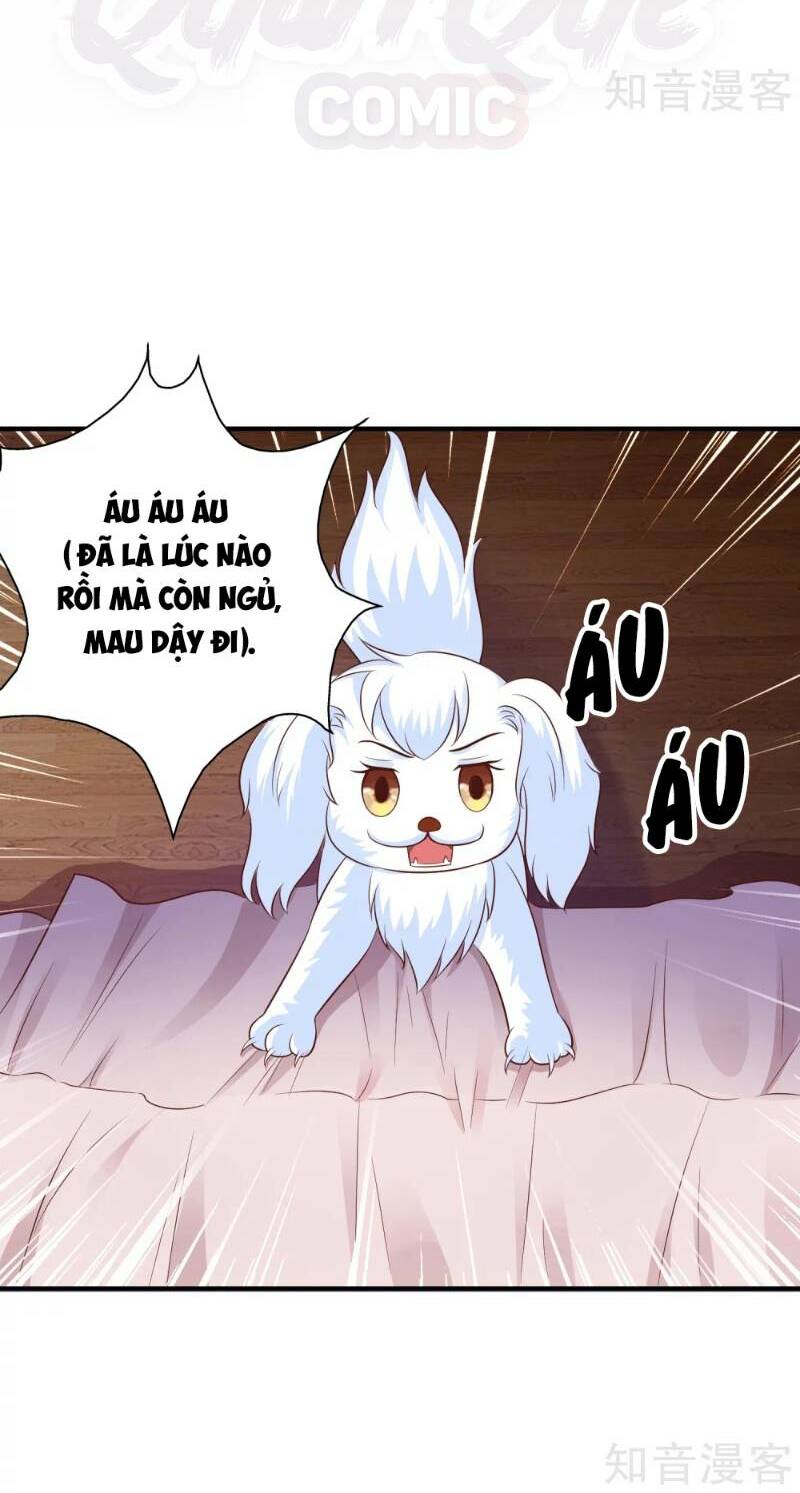 Tối Cường Vận Đào Hoa: Chapter 79