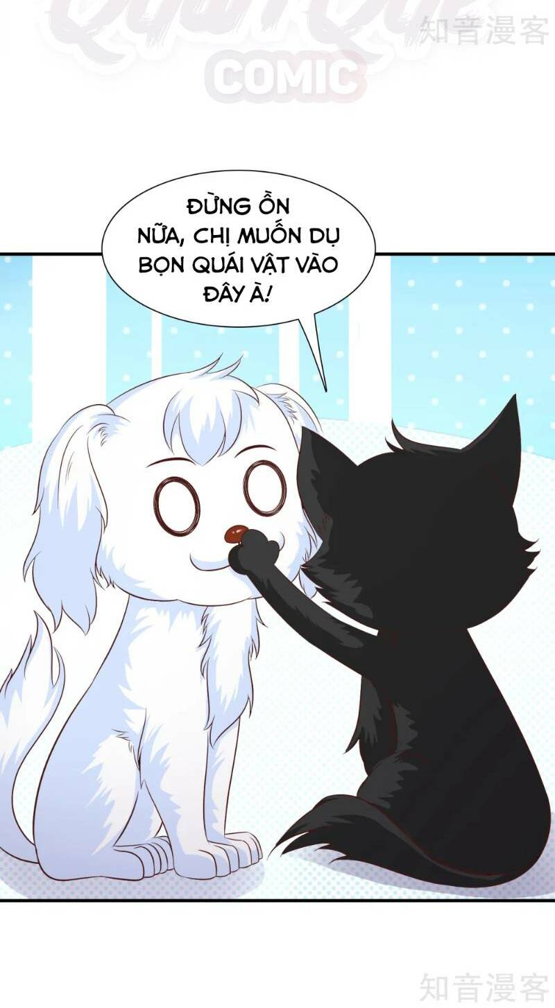 Tối Cường Vận Đào Hoa: Chapter 80
