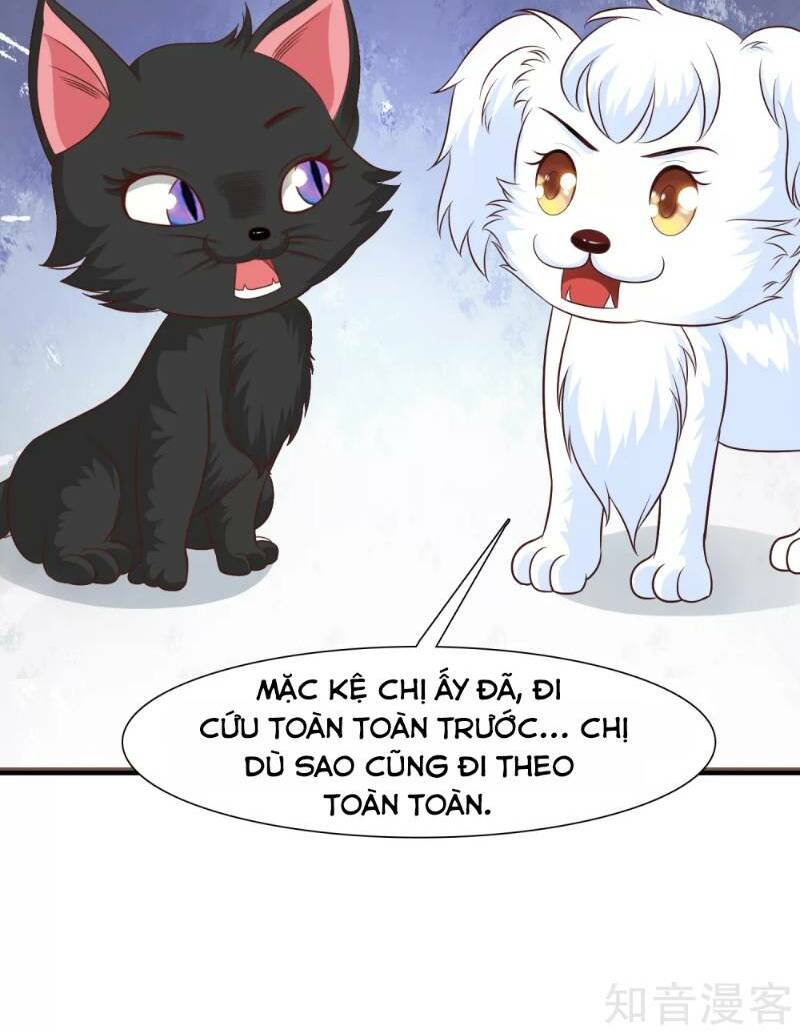 Tối Cường Vận Đào Hoa: Chapter 80