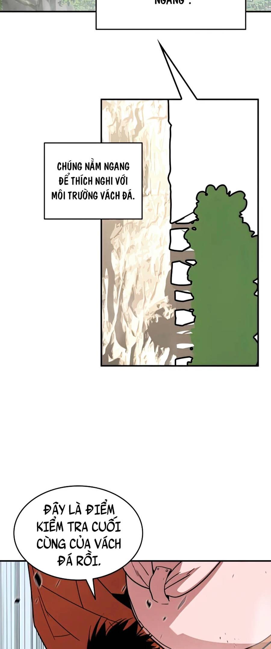 Trở Lại Làm Tân Thủ: Chapter 96