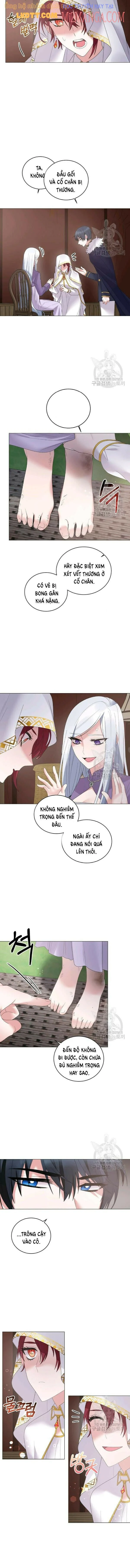 Nhân Vật Phản Diện Muốn Thành Nữ Chính: Chapter 37