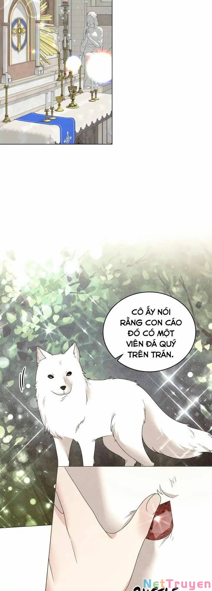 Nhân Vật Phản Diện Muốn Thành Nữ Chính: Chapter 57