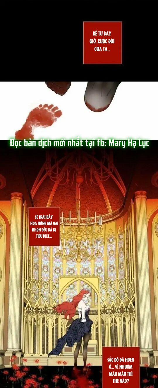 Từ Tiểu Thư Thành Hoàng Hậu - Lady To Queen: Chapter 29.5