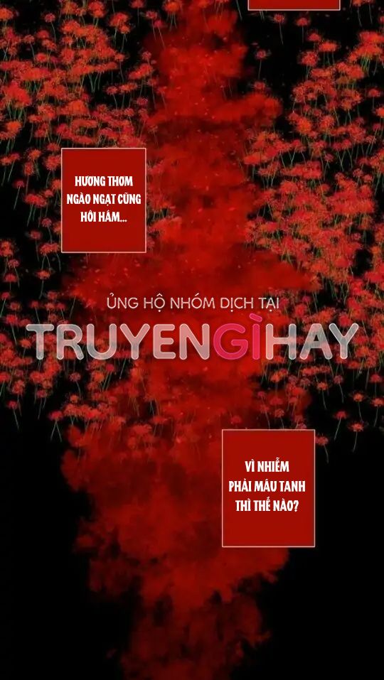 Từ Tiểu Thư Thành Hoàng Hậu - Lady To Queen: Chapter 29.5