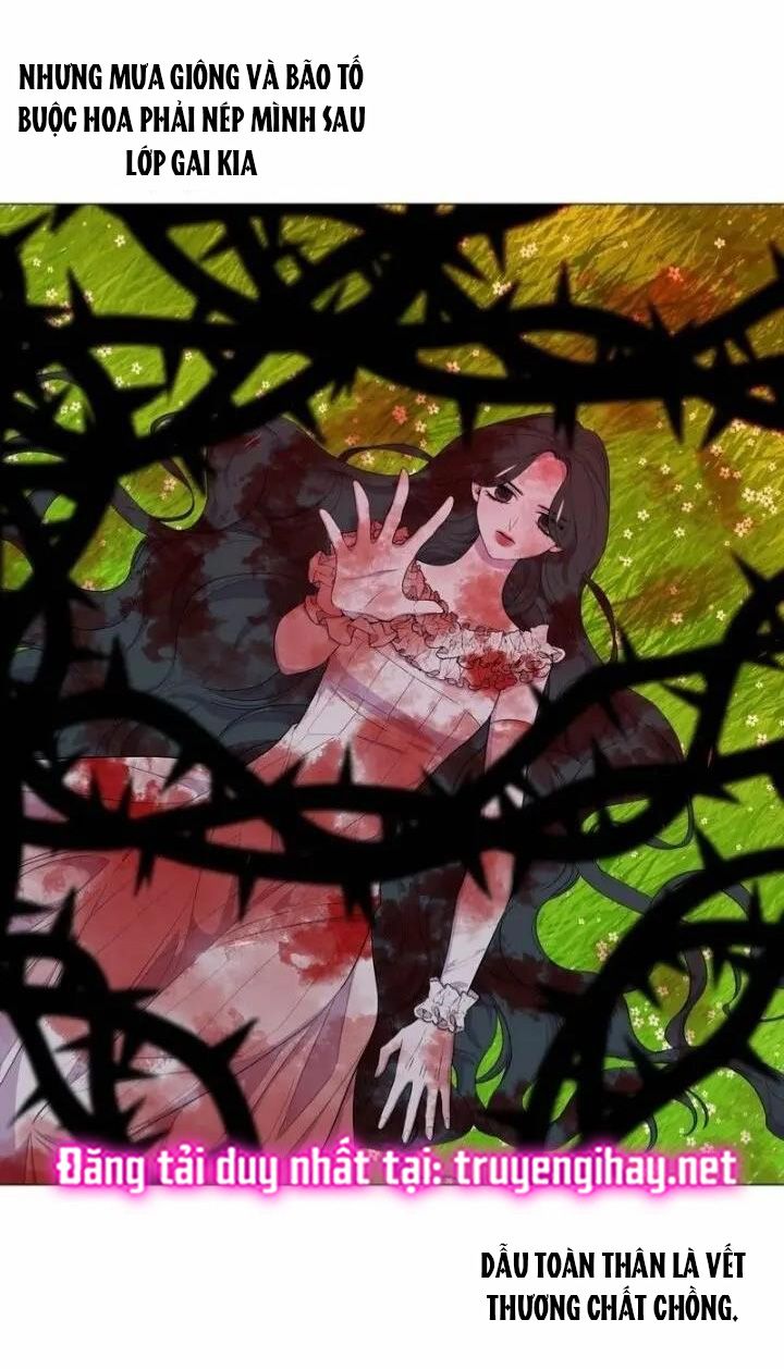 Từ Tiểu Thư Thành Hoàng Hậu - Lady To Queen: Chapter 38.5