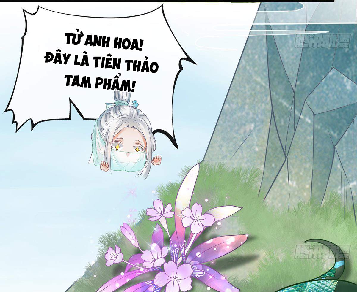 Đánh Chết Cũng Không Làm Sư Tôn: Chapter 13