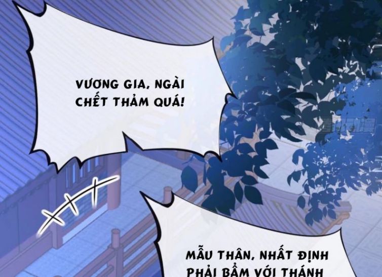 Đánh Chết Cũng Không Làm Sư Tôn: Chapter 56