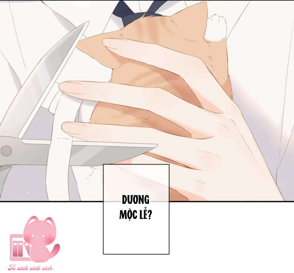Lại Được Gặp Em: Lại Được Gặp Em – Chap 25.5