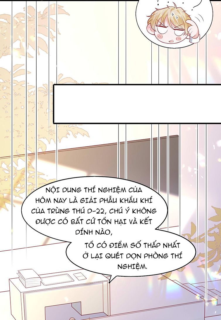 Phản Diện Bị Truy Thành Đoàn Sủng: Chapter 17