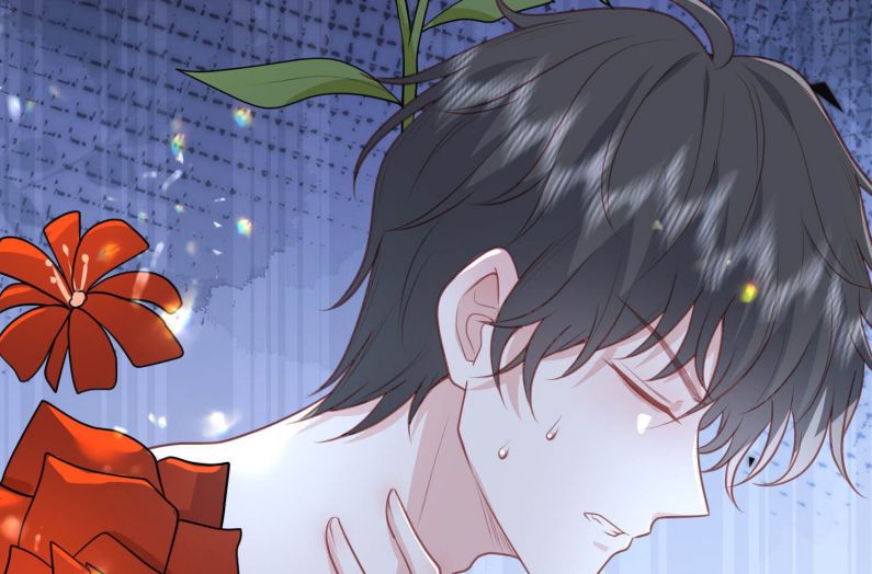 Phản Diện Bị Truy Thành Đoàn Sủng: Chapter 21