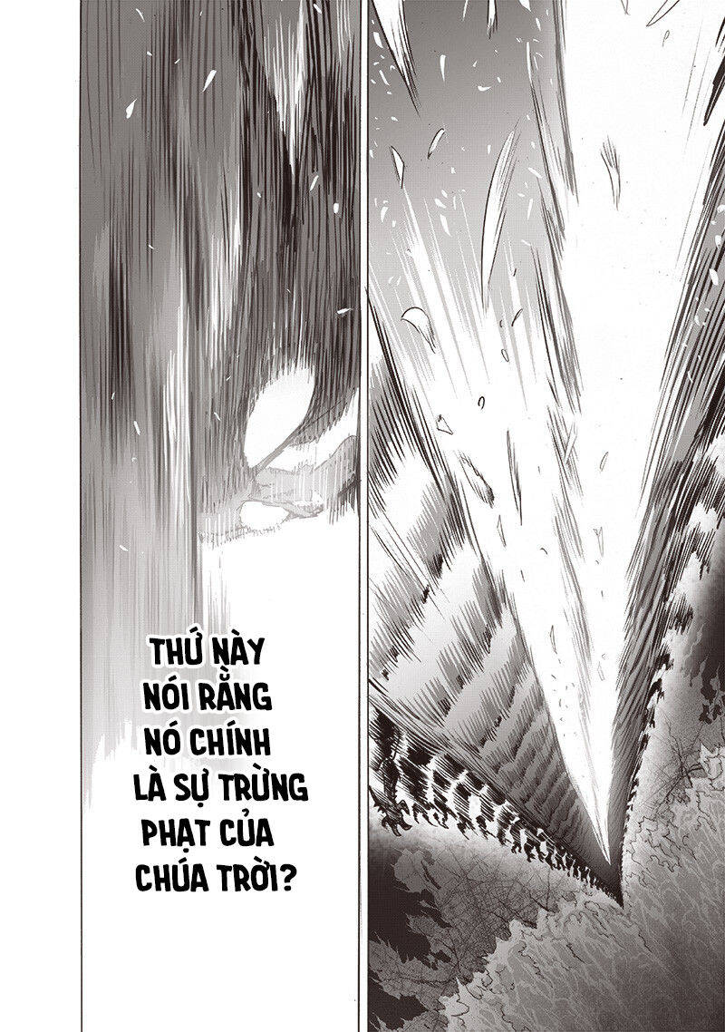 Onepunch Man: Chương 206