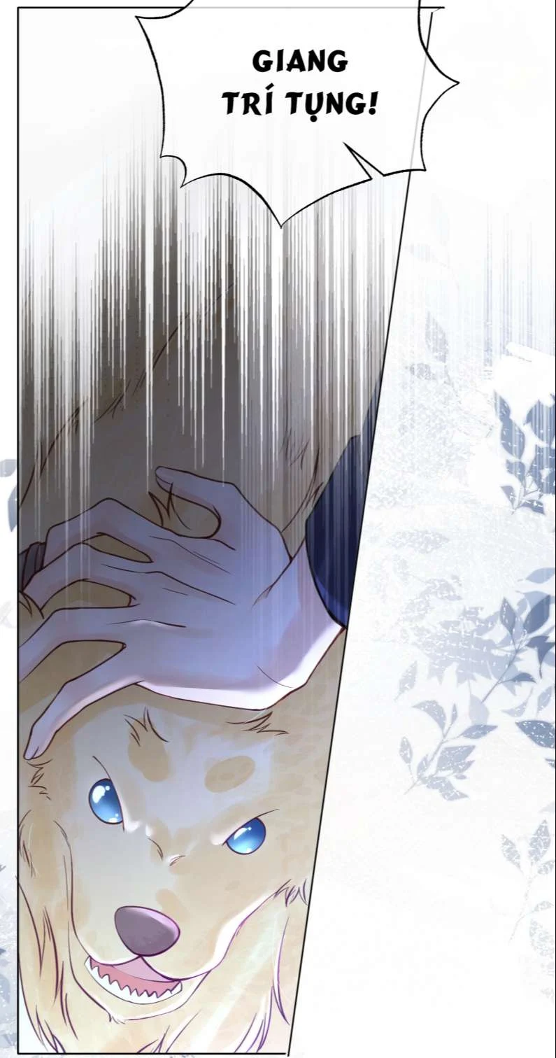 Anh Đừng Qua Đây: Chapter 45