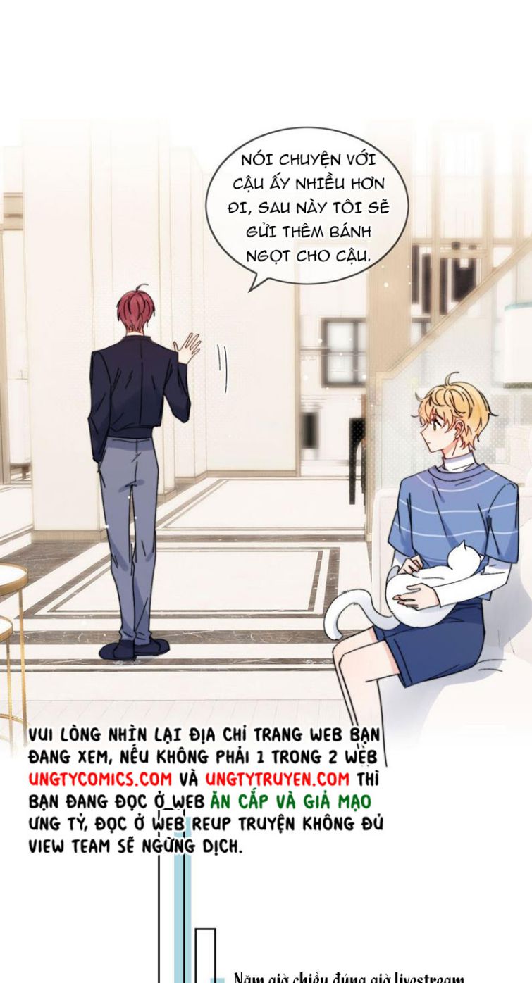 Kem Bơ Chất Lượng Kém: Chapter 14