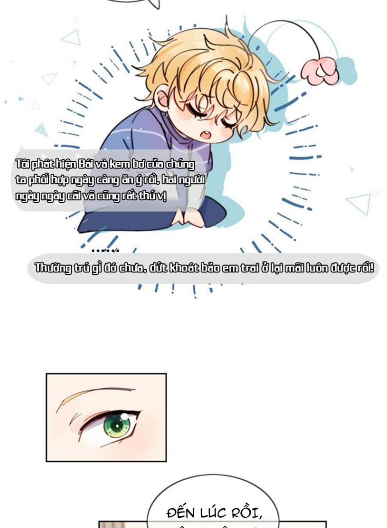 Kem Bơ Chất Lượng Kém: Chapter 14
