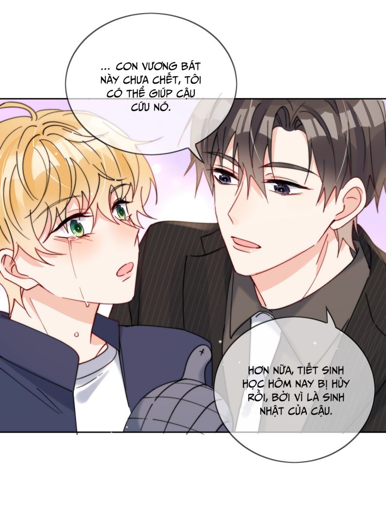 Kem Bơ Chất Lượng Kém: Chapter 37