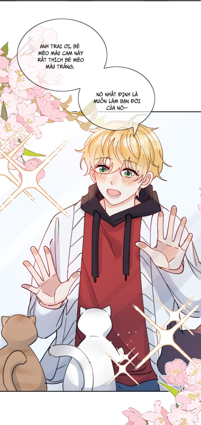 Kem Bơ Chất Lượng Kém: Chapter 43