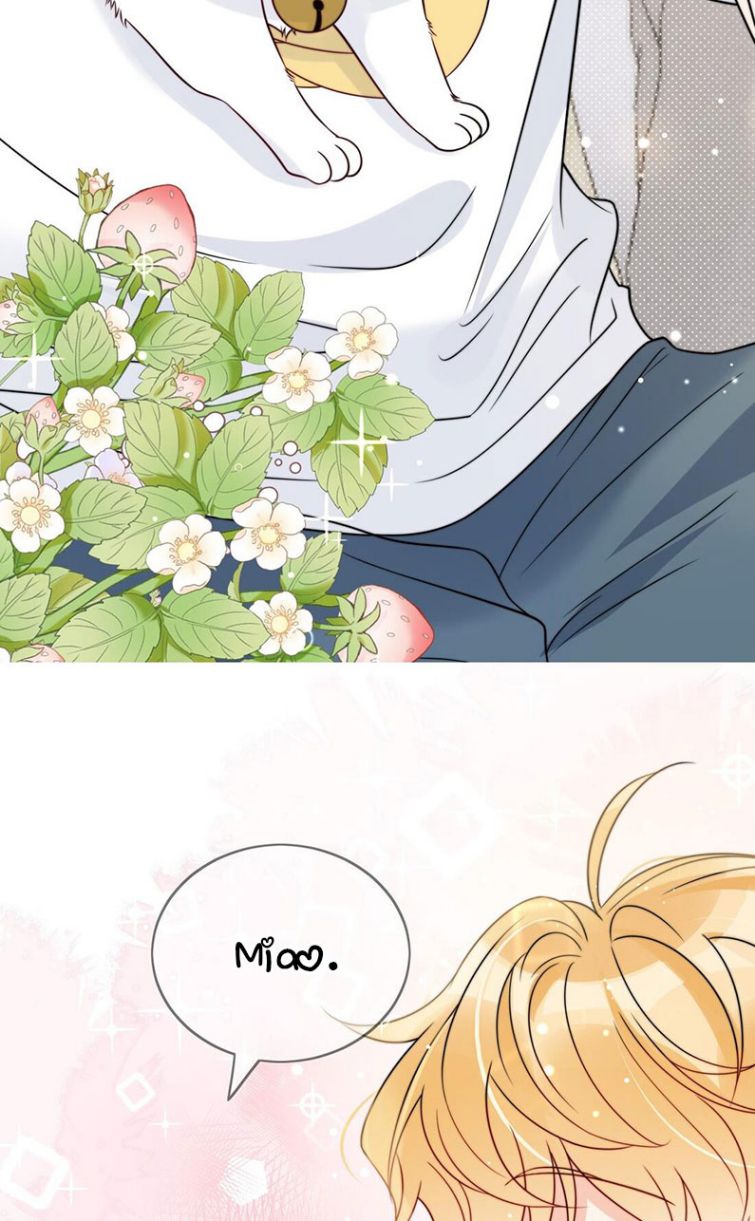 Kem Bơ Chất Lượng Kém: Chapter 6