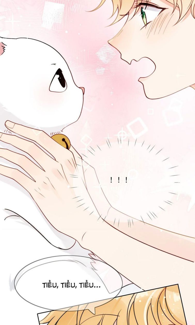 Kem Bơ Chất Lượng Kém: Chapter 6