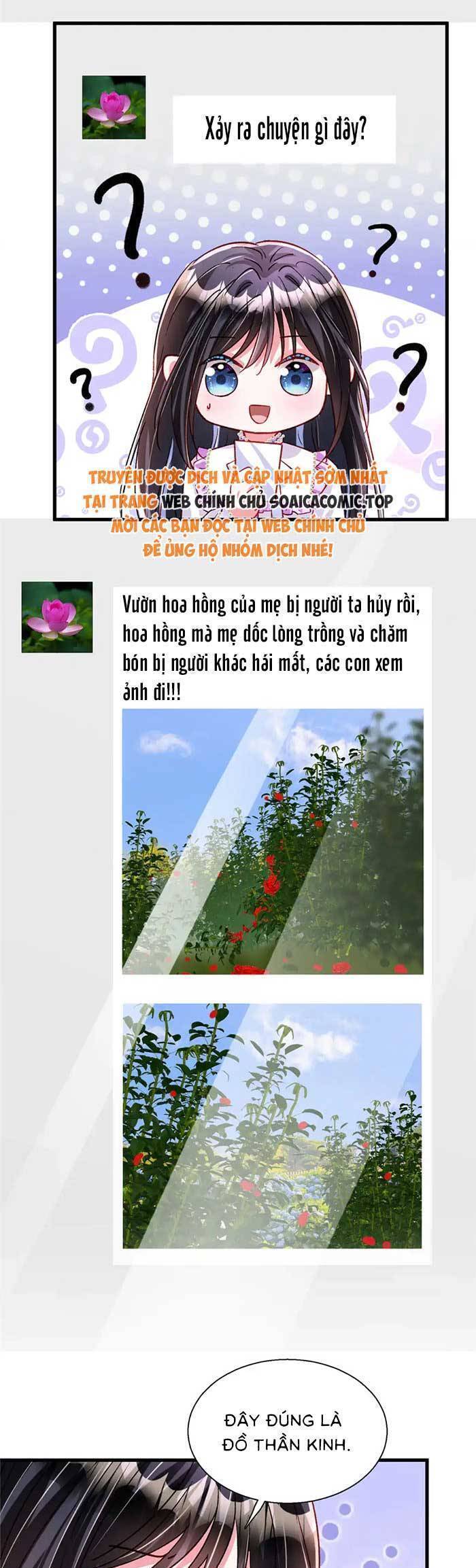 Cuộc Hôn Nhân Với Boss Nhà Giàu Khét Tiếng: Chapter 209
