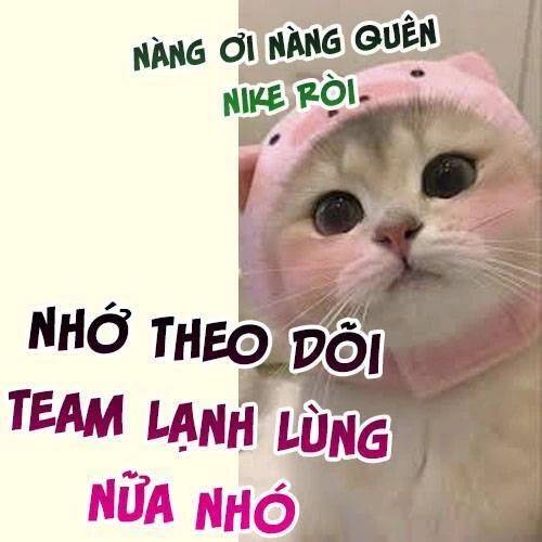 Cuộc Hôn Nhân Với Boss Nhà Giàu Khét Tiếng: Chapter 242