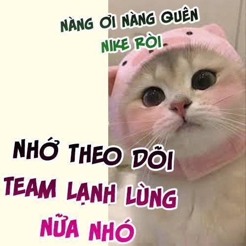Cuộc Hôn Nhân Với Boss Nhà Giàu Khét Tiếng: Chapter 243