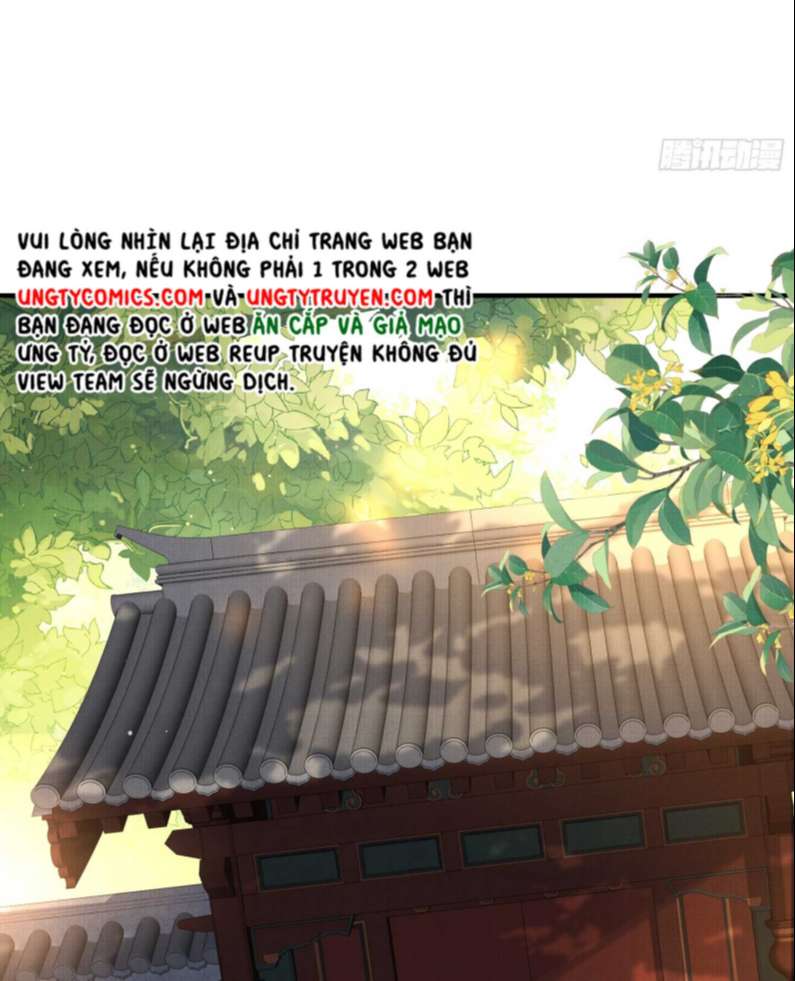 Phế Thê Trùng Sinh: Chapter 19