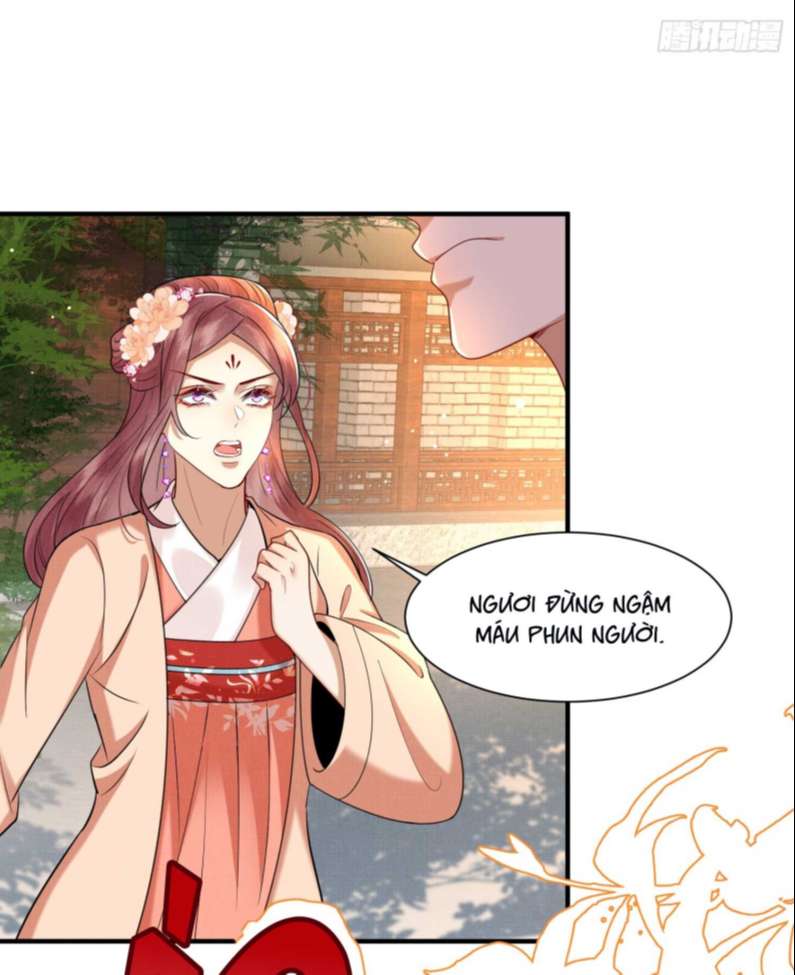 Phế Thê Trùng Sinh: Chapter 19