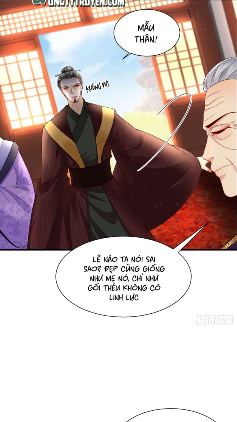 Phế Thê Trùng Sinh: Chapter 24