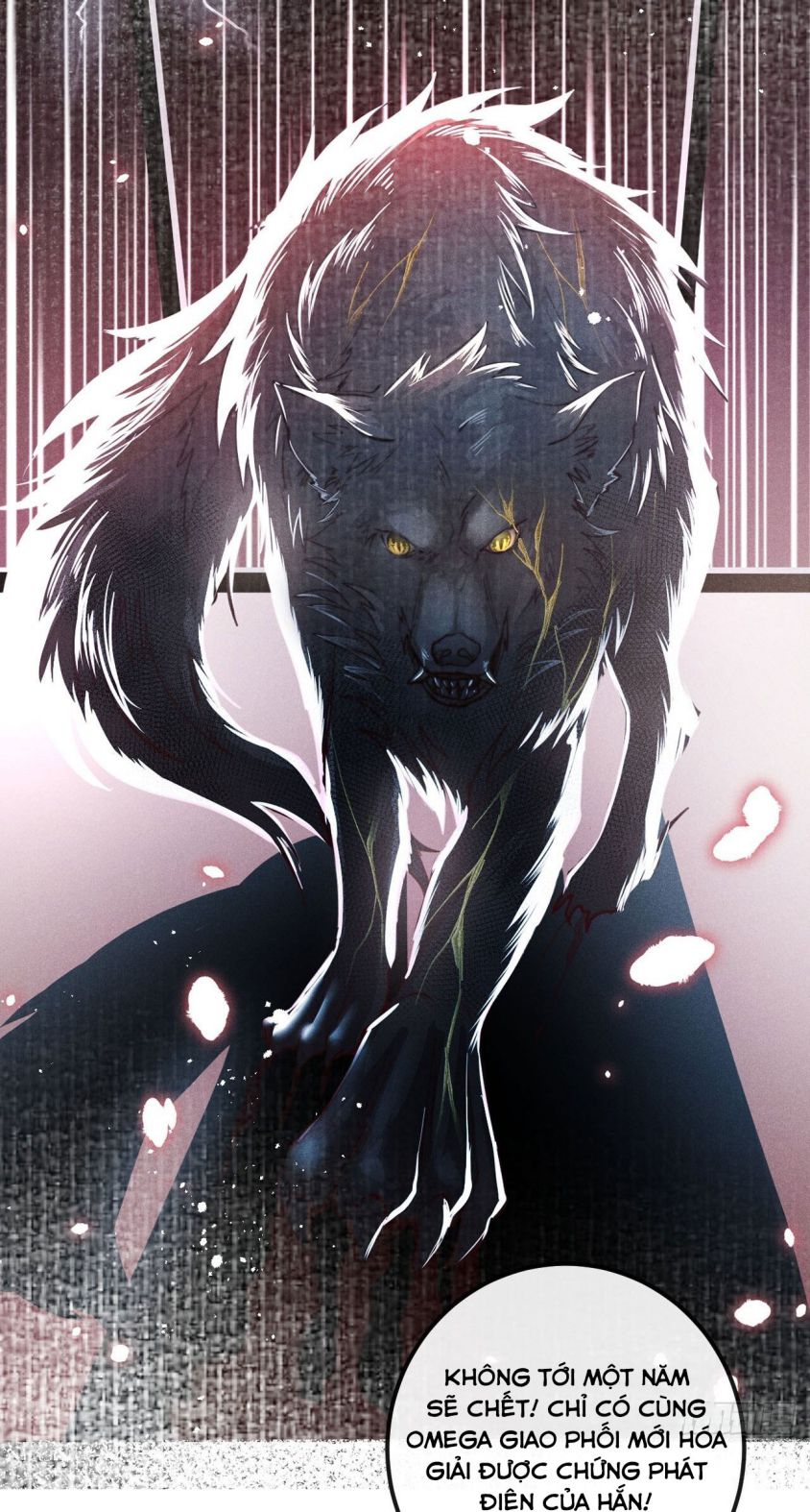 Lang Lang Thượng Khẩu: Chapter 13
