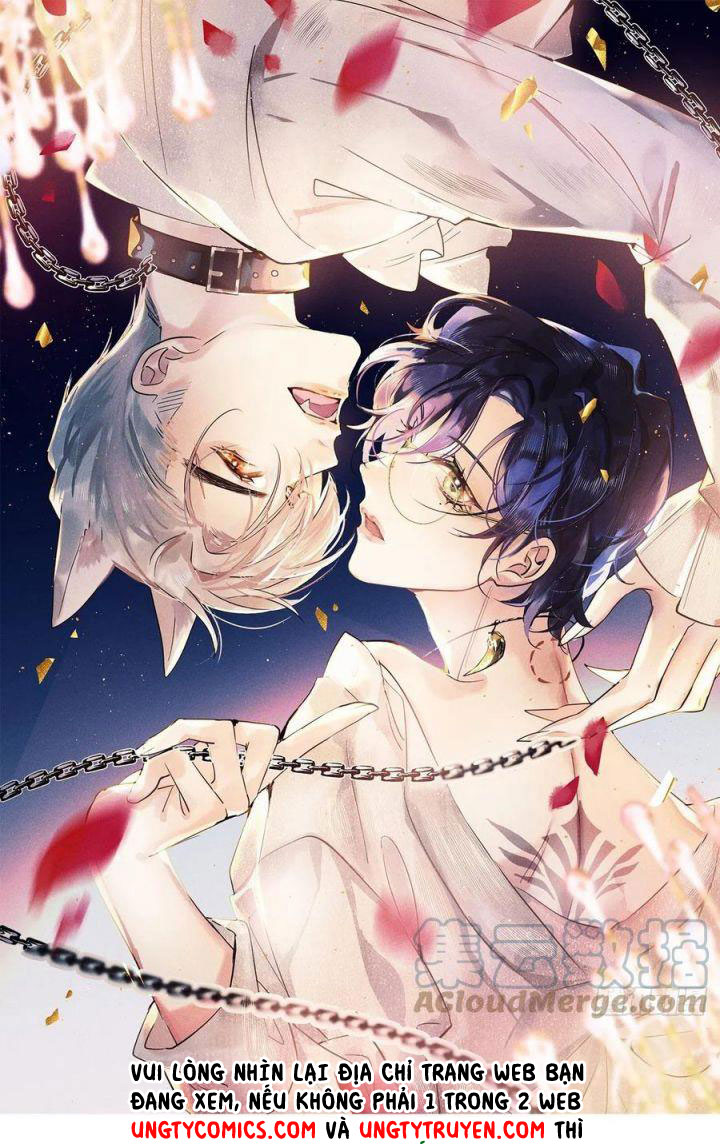 Lang Lang Thượng Khẩu: Chapter 29