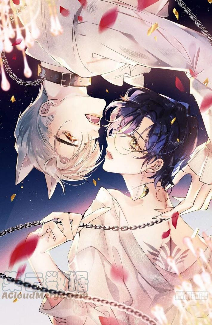 Lang Lang Thượng Khẩu: Chapter 35