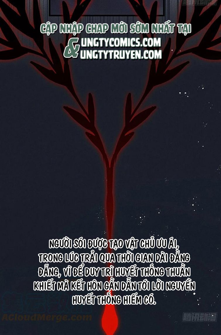 Lang Lang Thượng Khẩu: Chapter 39